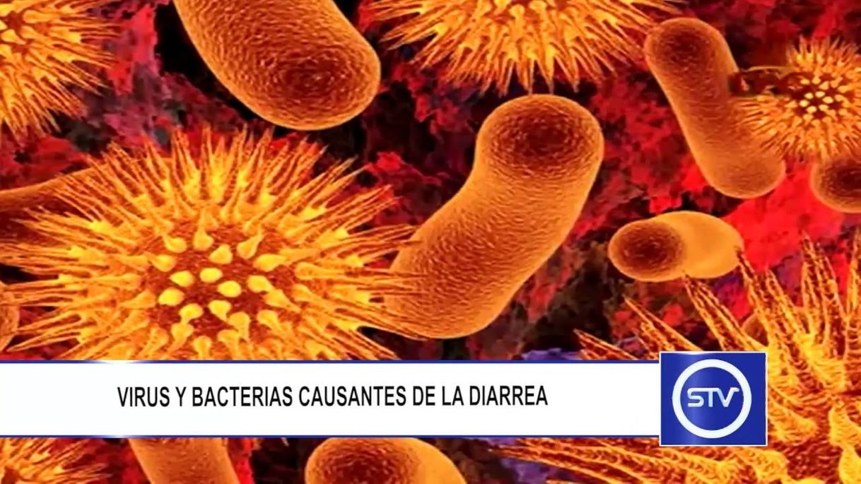 Product VIRUS Y BACTERIAS CAUSANTES DE LA DIARREA