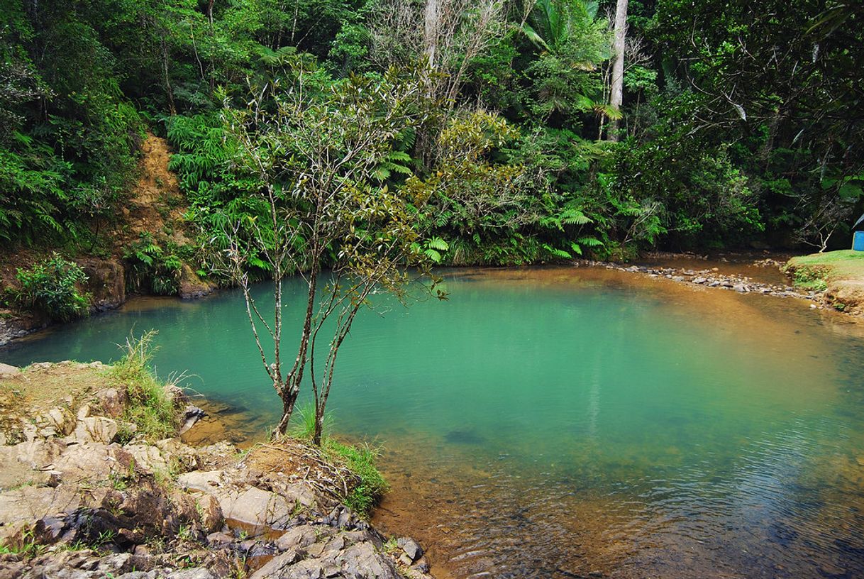 Lugar Patillas