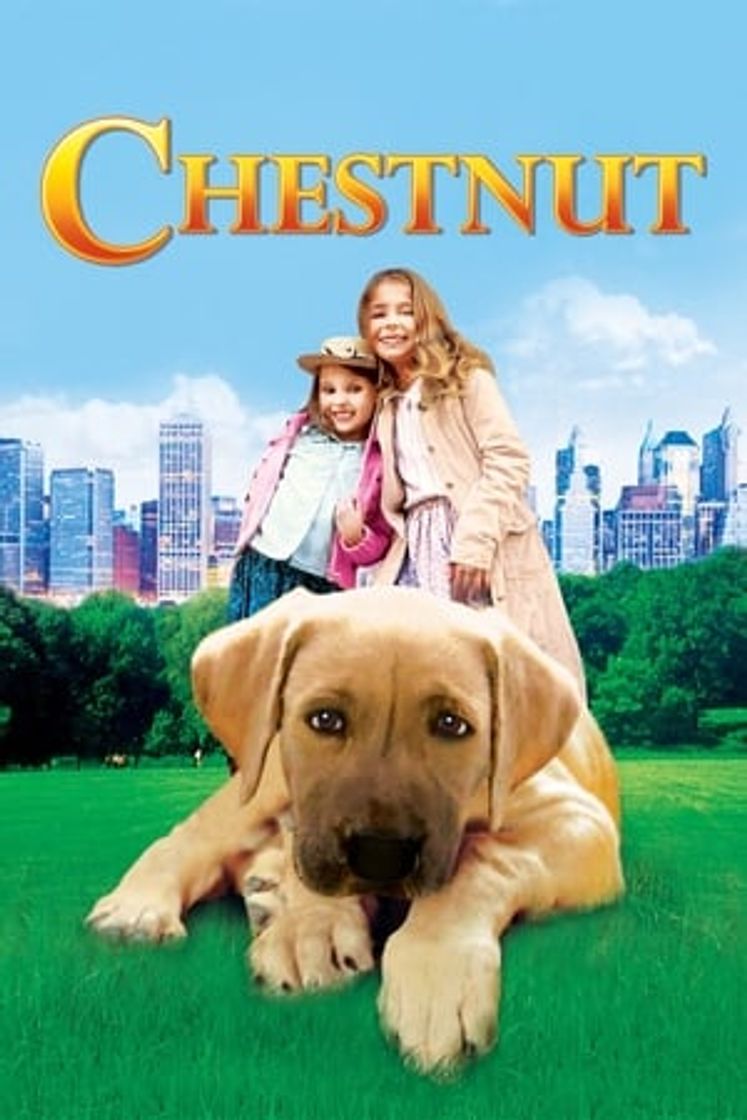 Película Chestnut: El héroe de Central Park