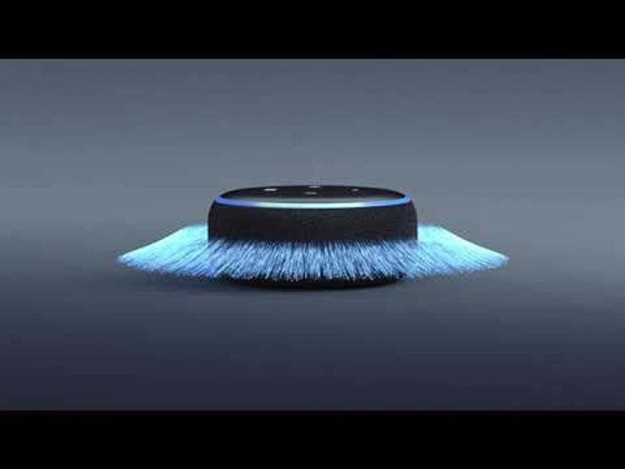 Social Echo Dot