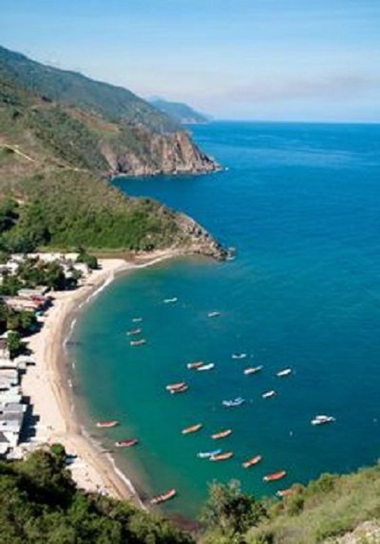 Lugar Chichiriviche de la Costa