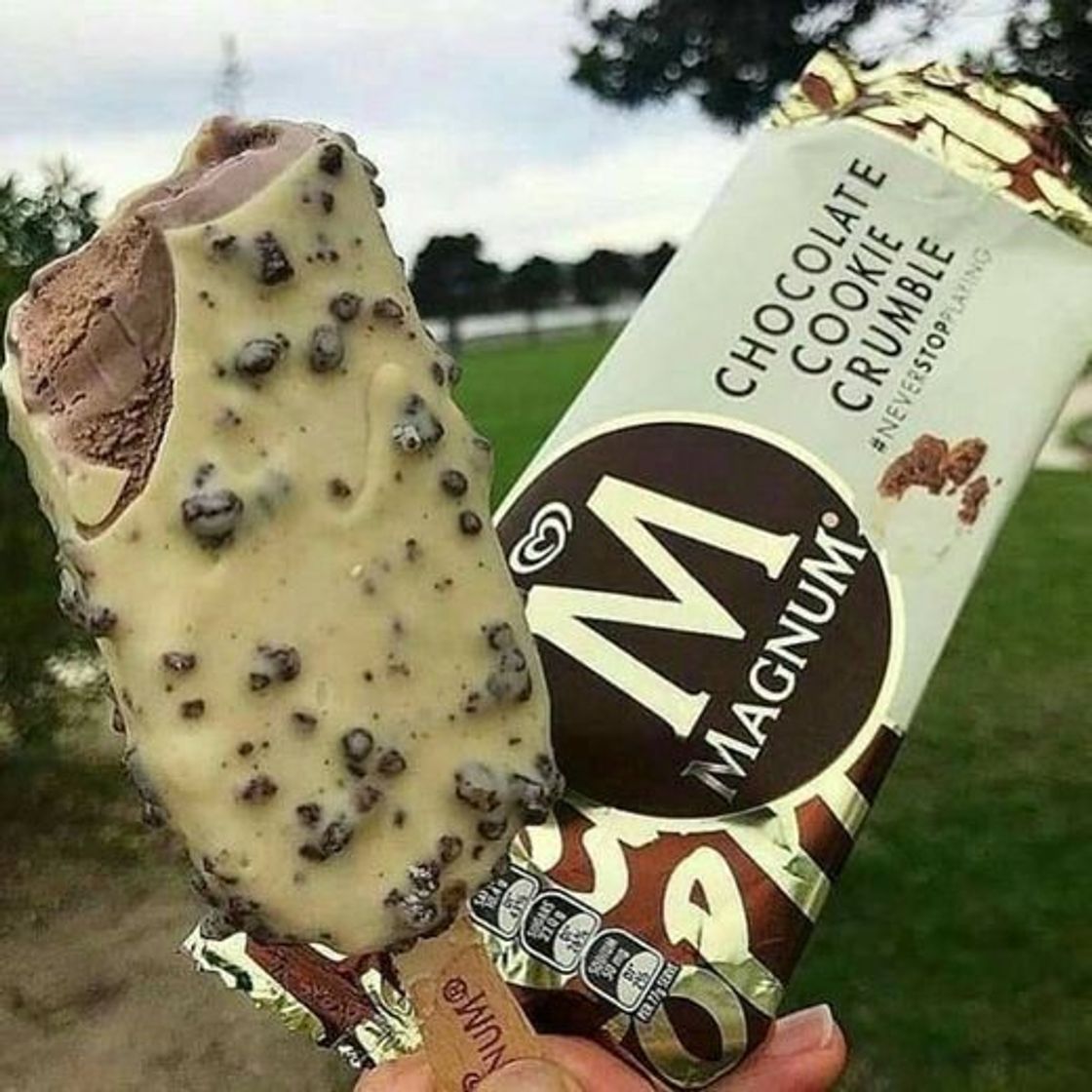 Social •magnum cookie•