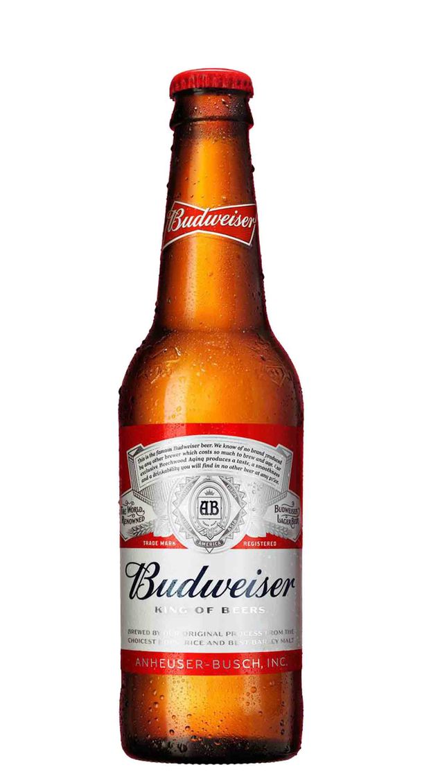 Fashion Cerveja Budweiser