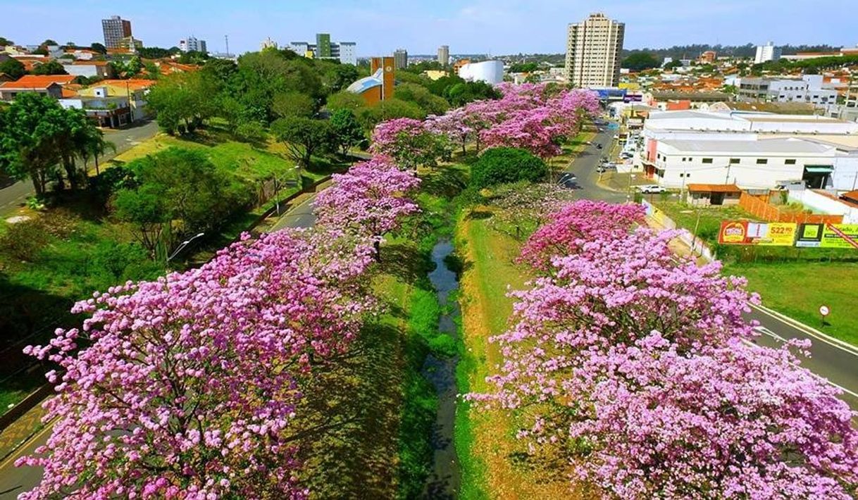 Fashion Cidade Paulista