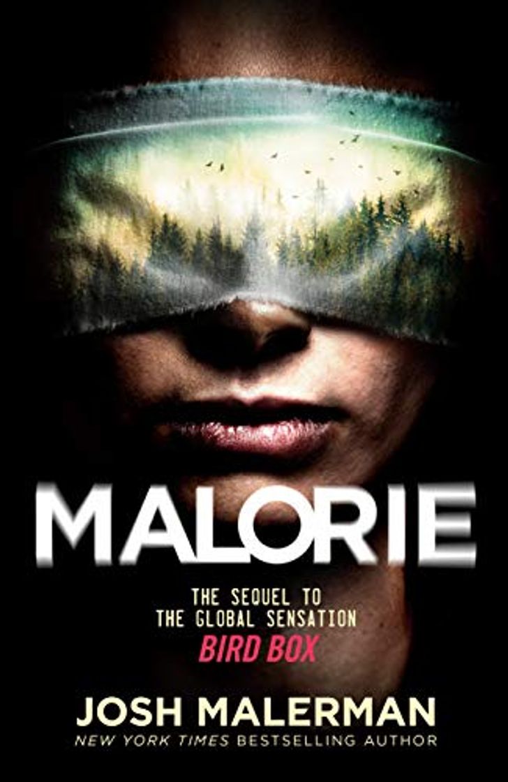 Book Malorie: A Bird Box Novel