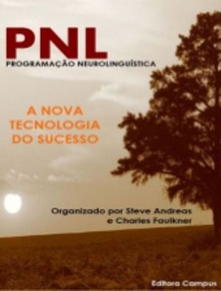 Fashion PNL: A nova tecnologia do sucesso.
