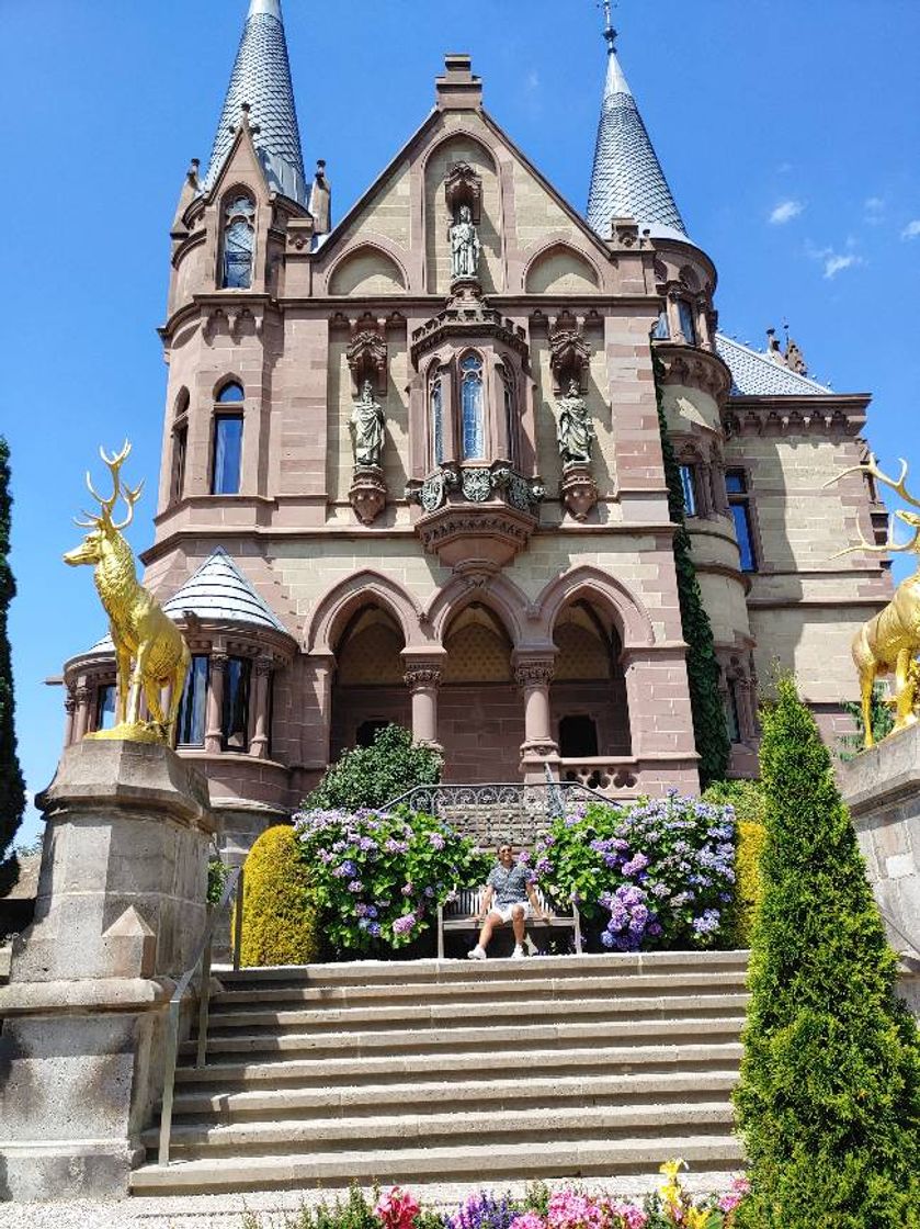 Place Drachenfels