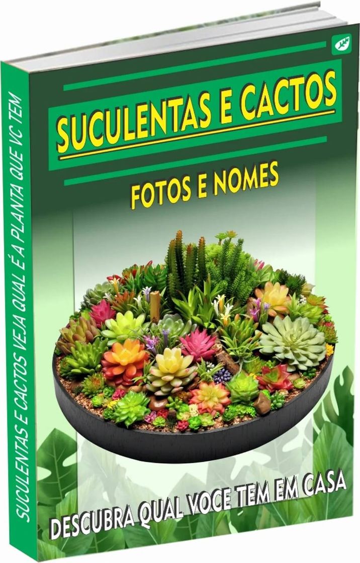 Fashion Ficha de identificação de Suculentas e Cactos 🌵 