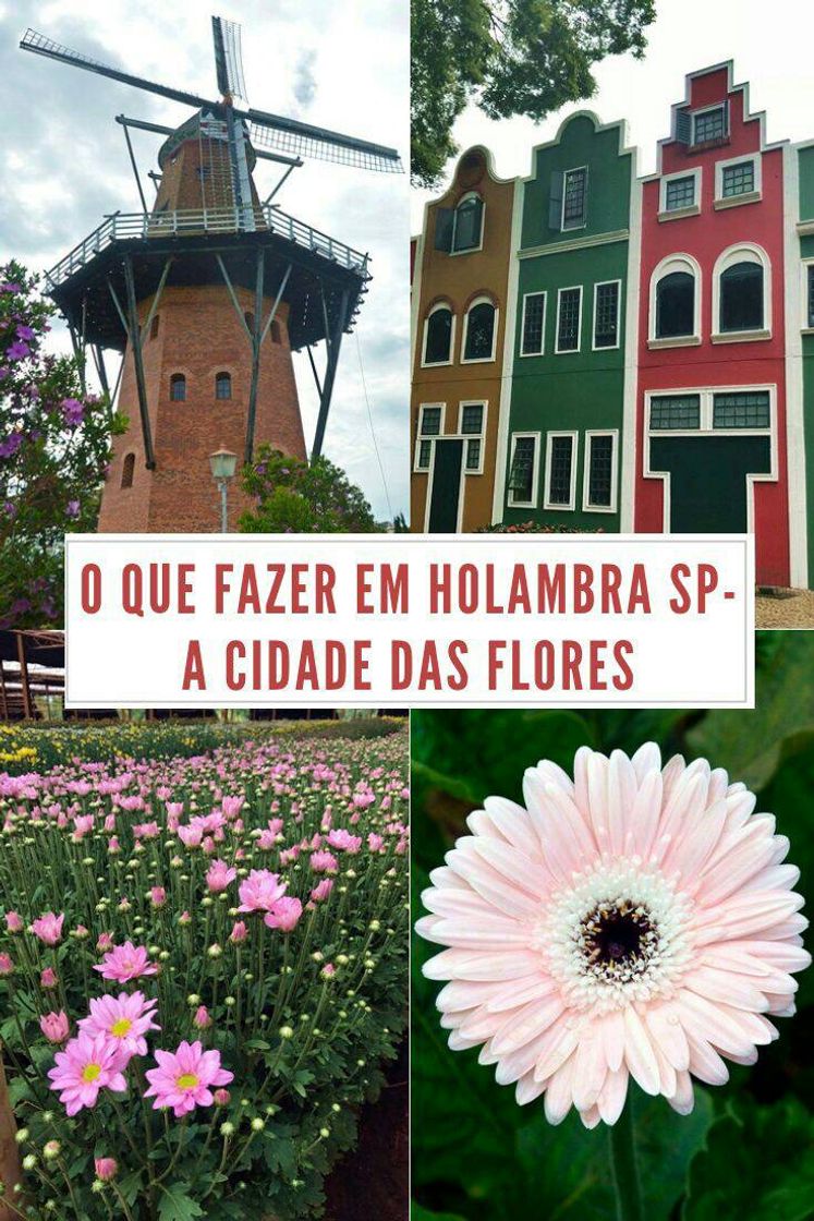 Moda CIDADE DAS FLORES