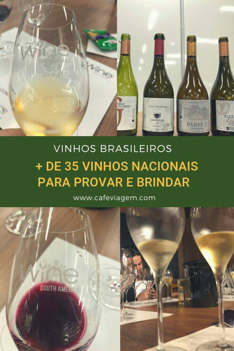 Fashion vinhos Brasileiros