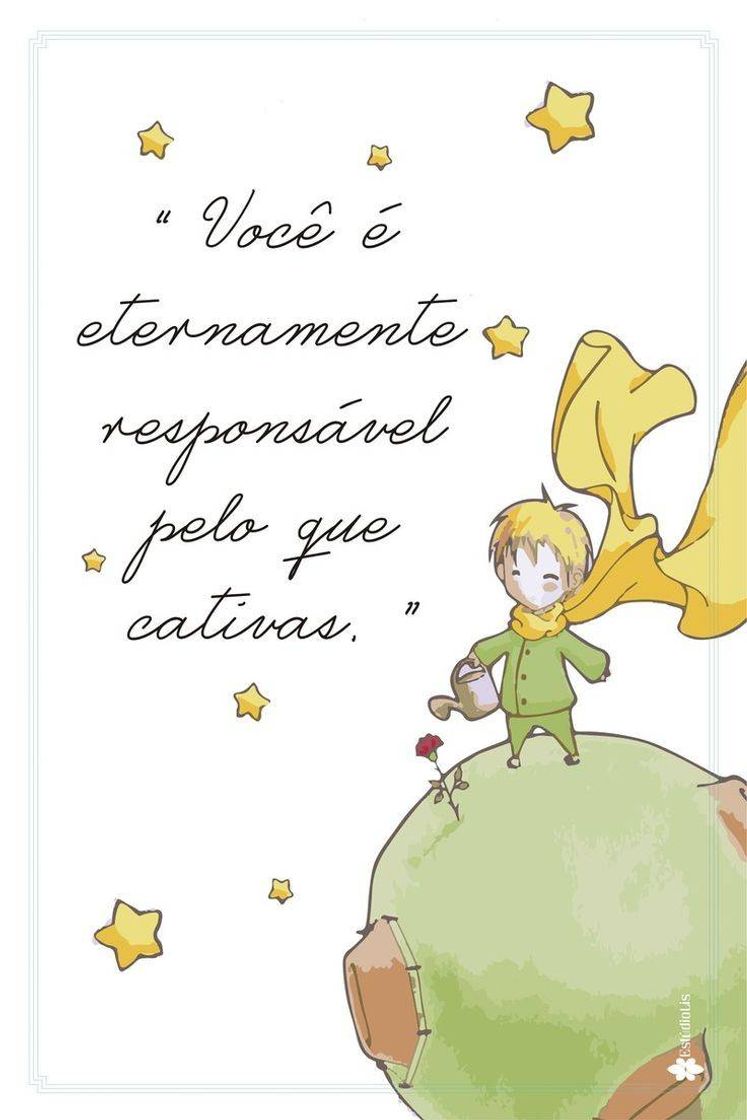 Social O Pequeno Príncipe 👑