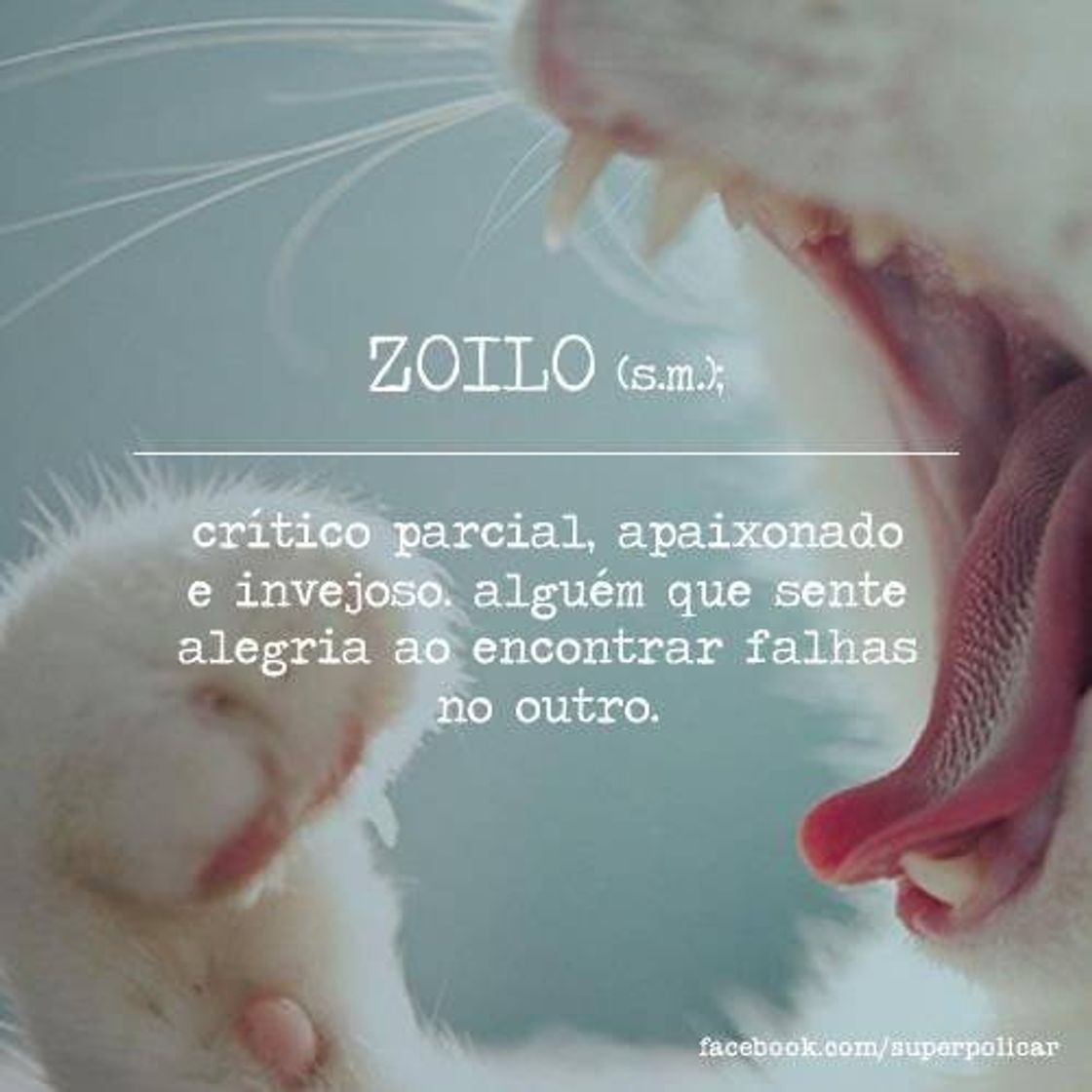 Social Aumente o seu vocabulário 🤓