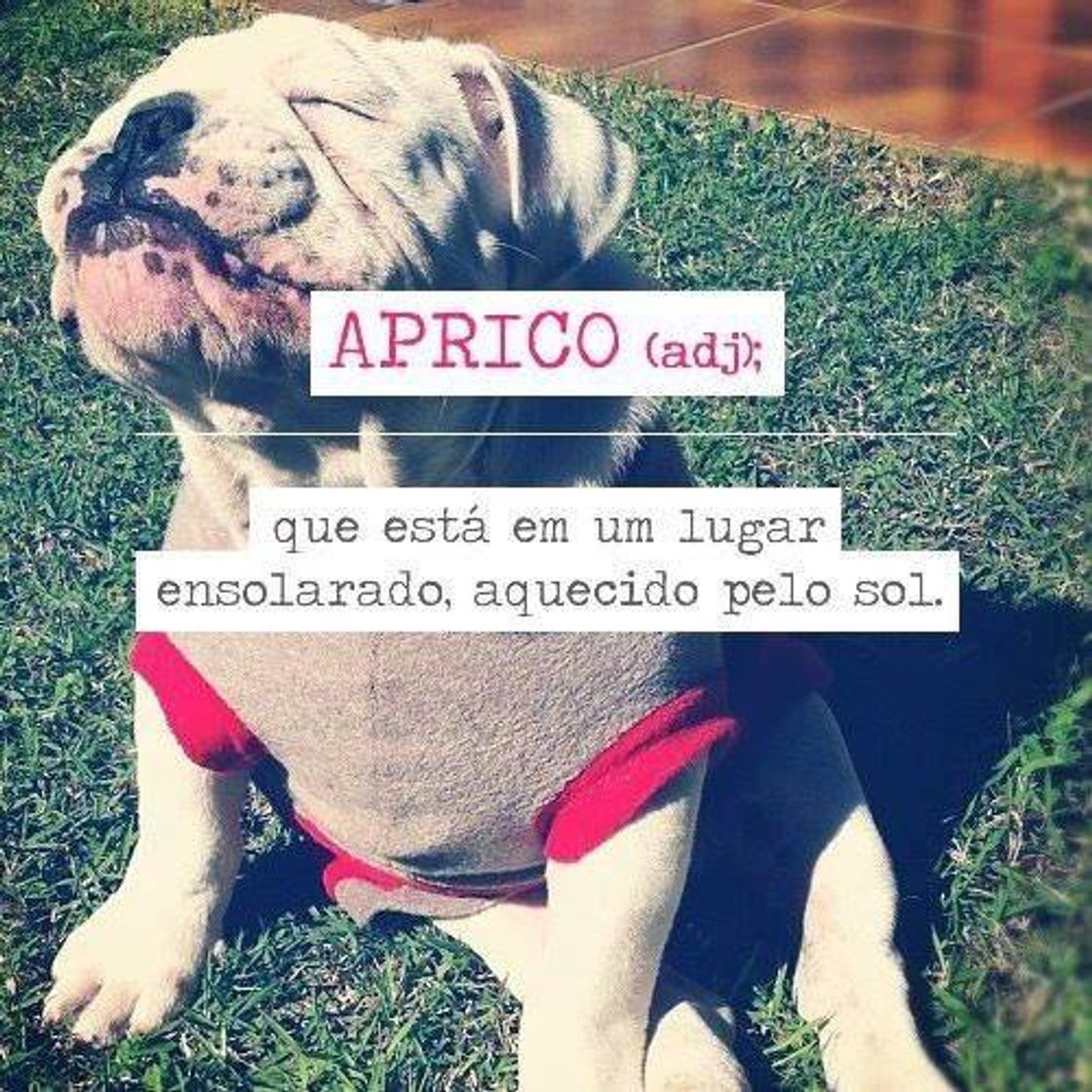 Social Aumente o seu vocabulário 🤓