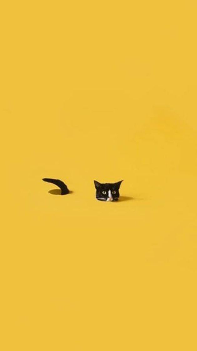 Social https://pin.it/7liIHii