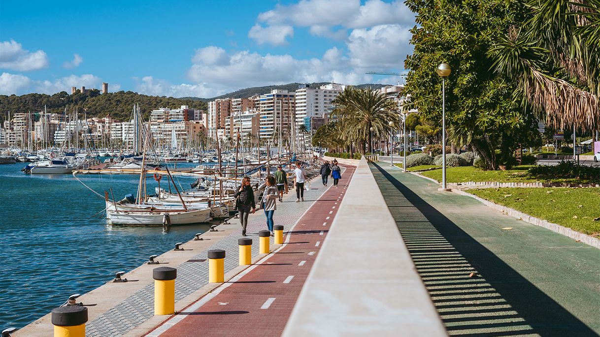 Place Paseo Marítimo