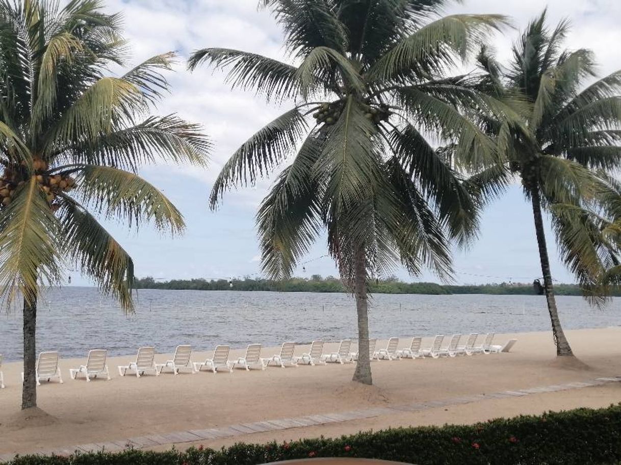 Lugar Amatique Bay Resort & Marina