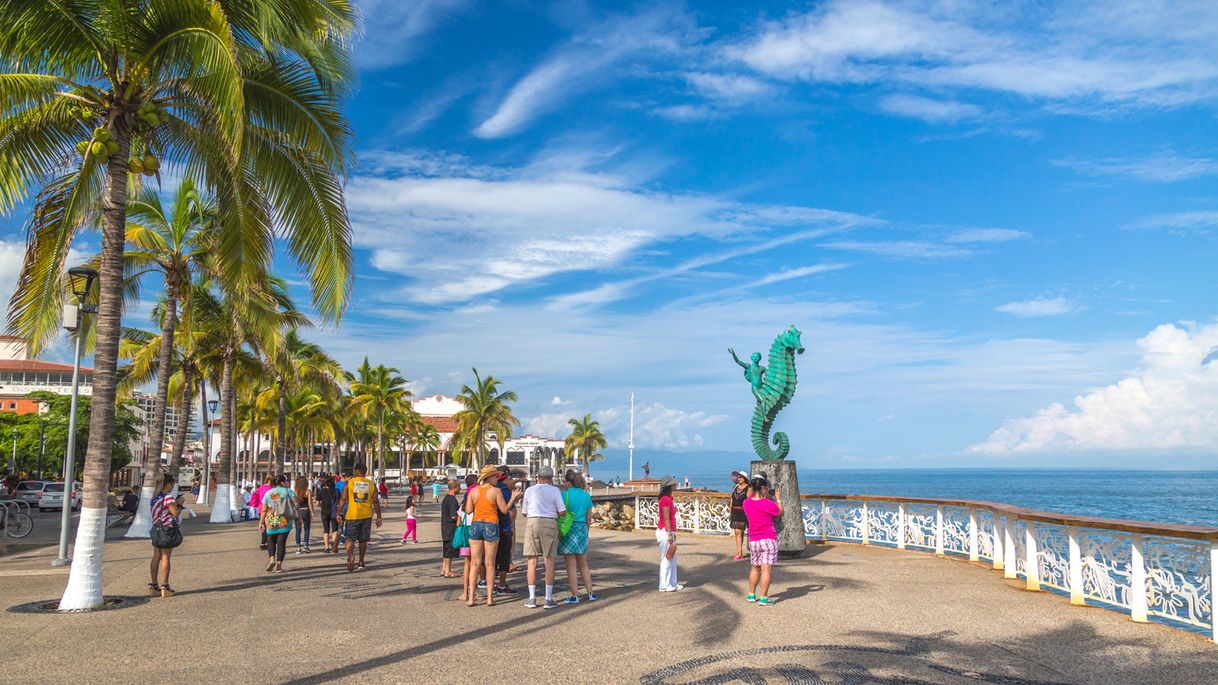 Lugar Puerto Vallarta