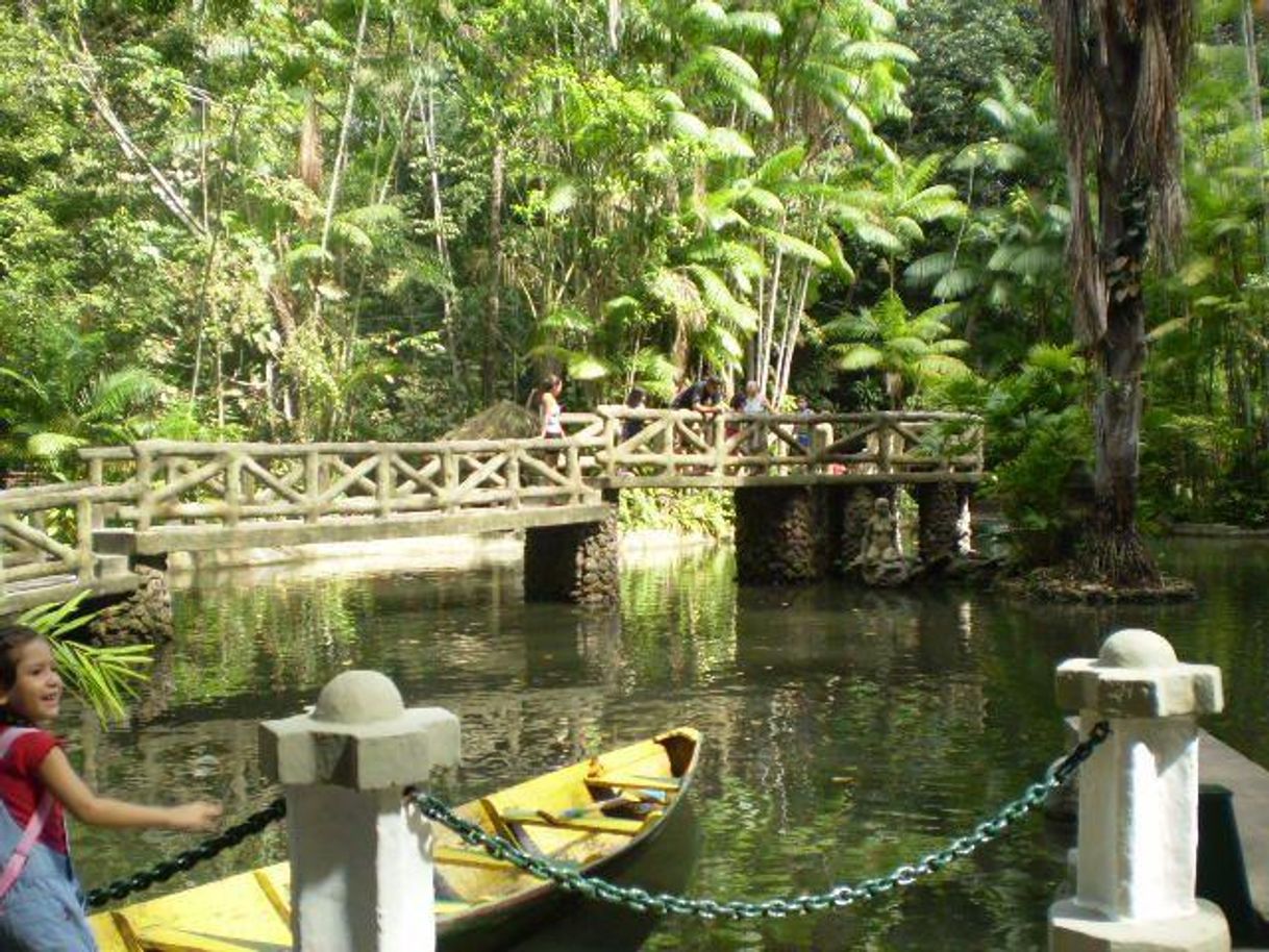 Lugar Bosque Rodrigues Alves Jardim Zoobotânico da Amazônia