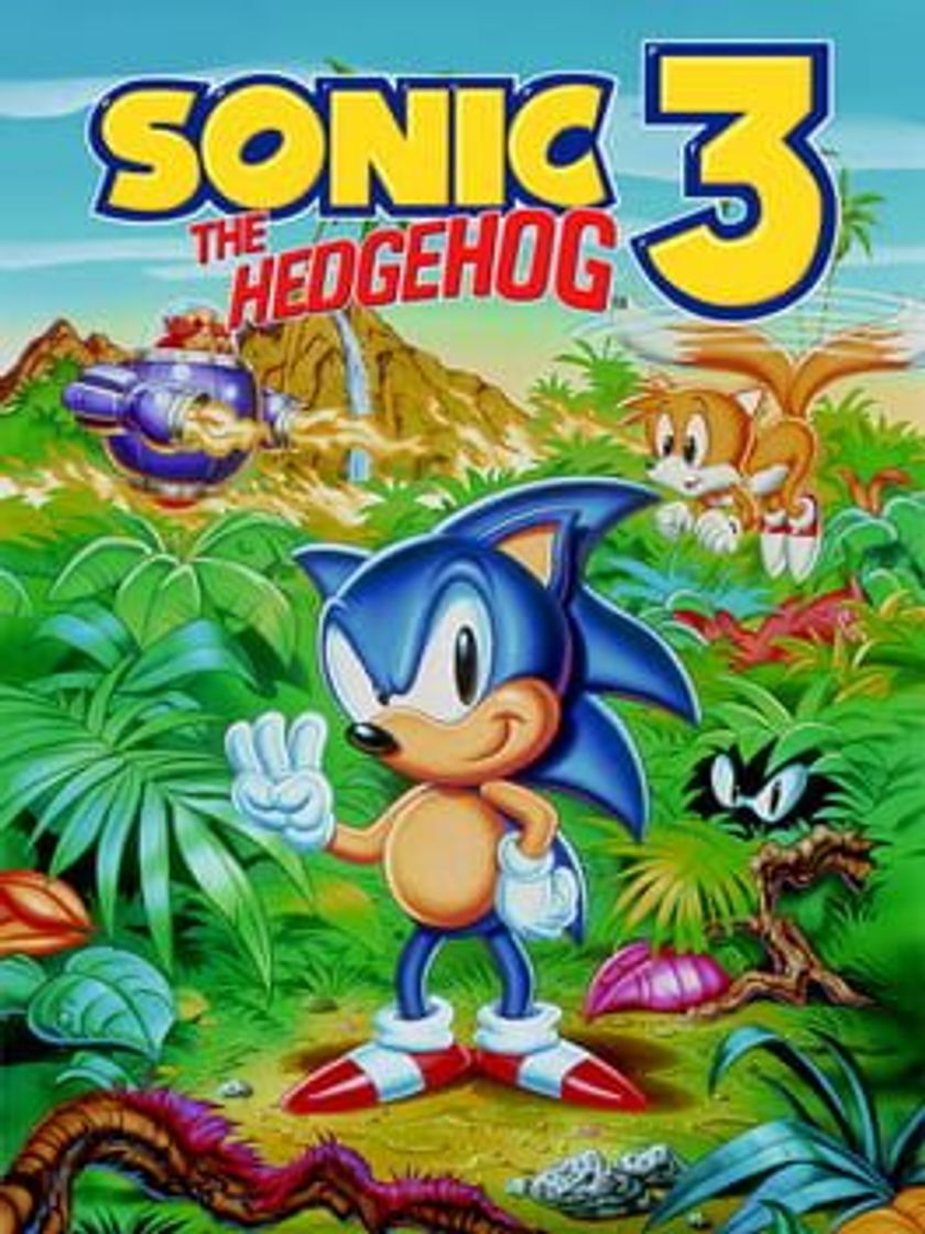 Videogames Sonic the Hedgehog 3