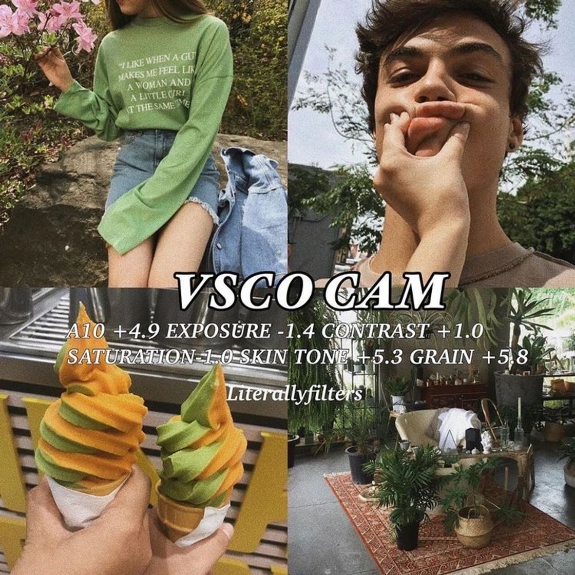 🦚 FILTER 2#