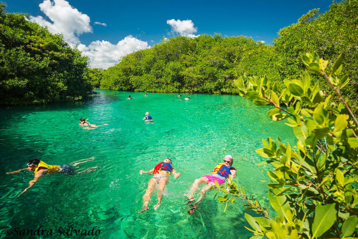 Places Casa Cenote