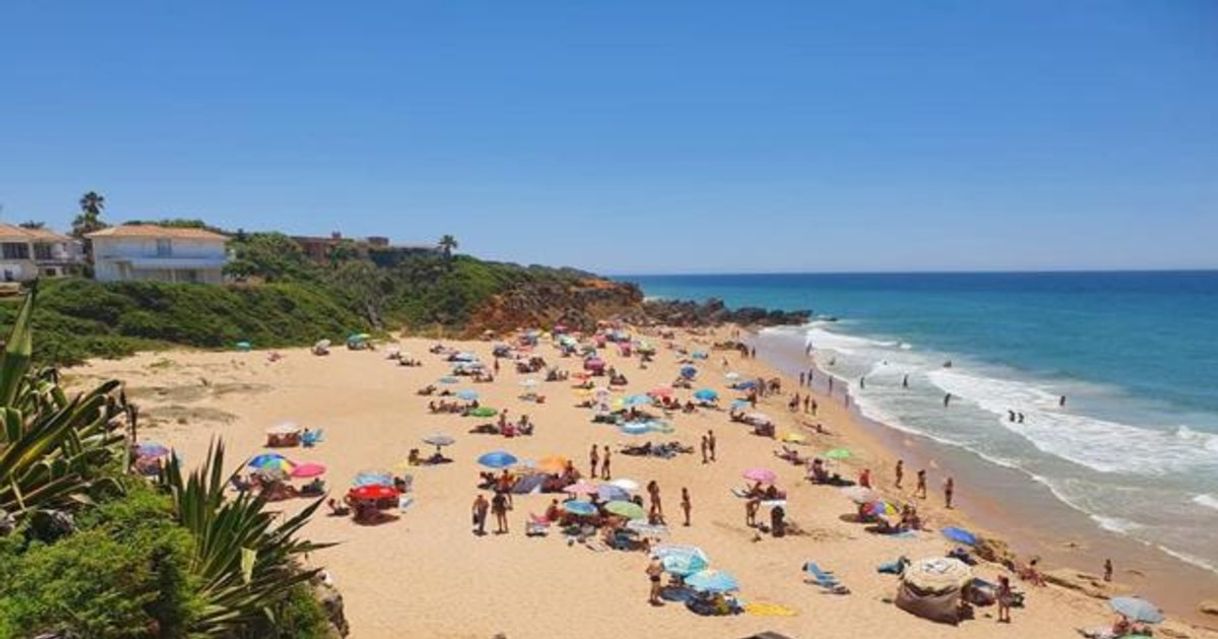 Lugares Playa de Conil