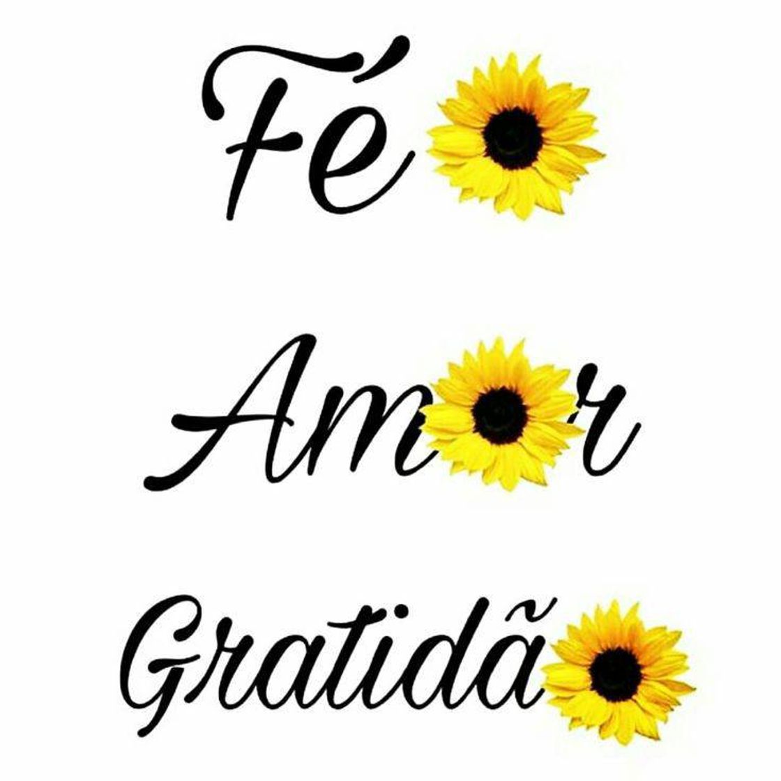 Social Fé amor gratidão 