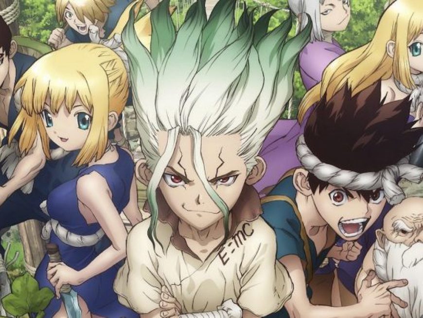 Moda Dr. STONE