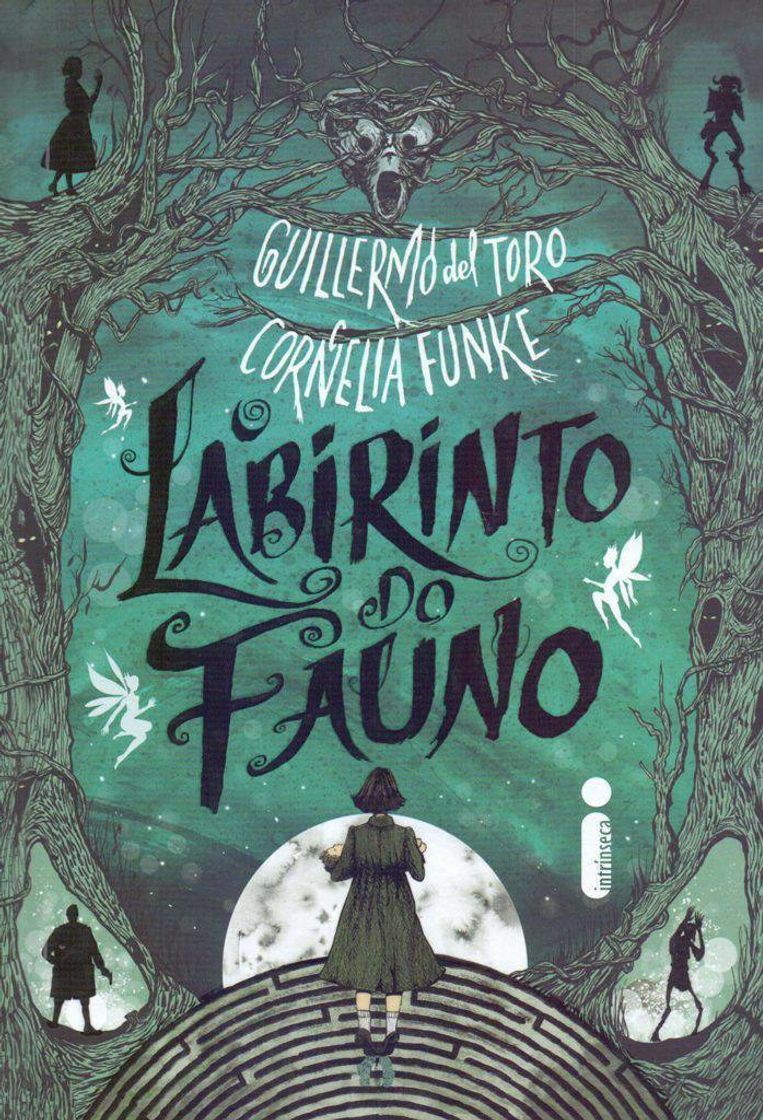 Book O Labirinto Do Fauno