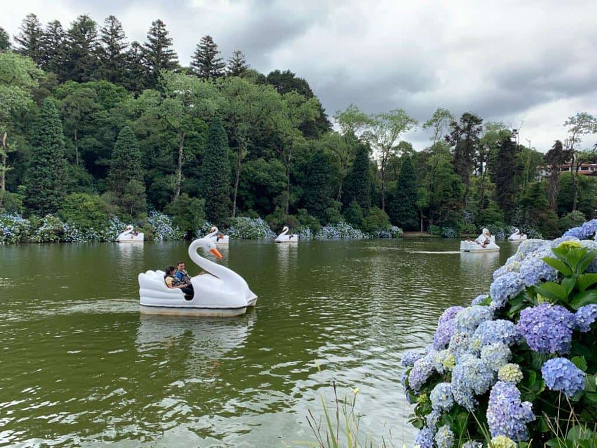 Lugar Lago negro