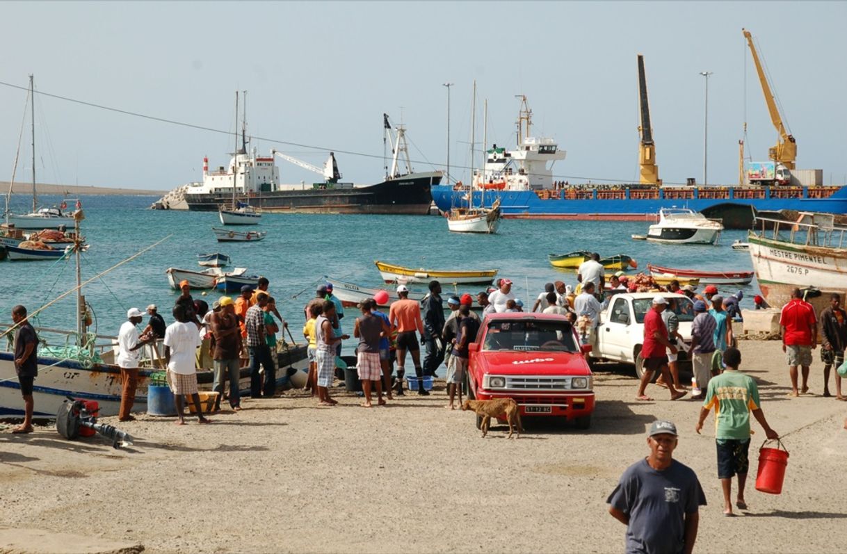 Lugar Palmeira