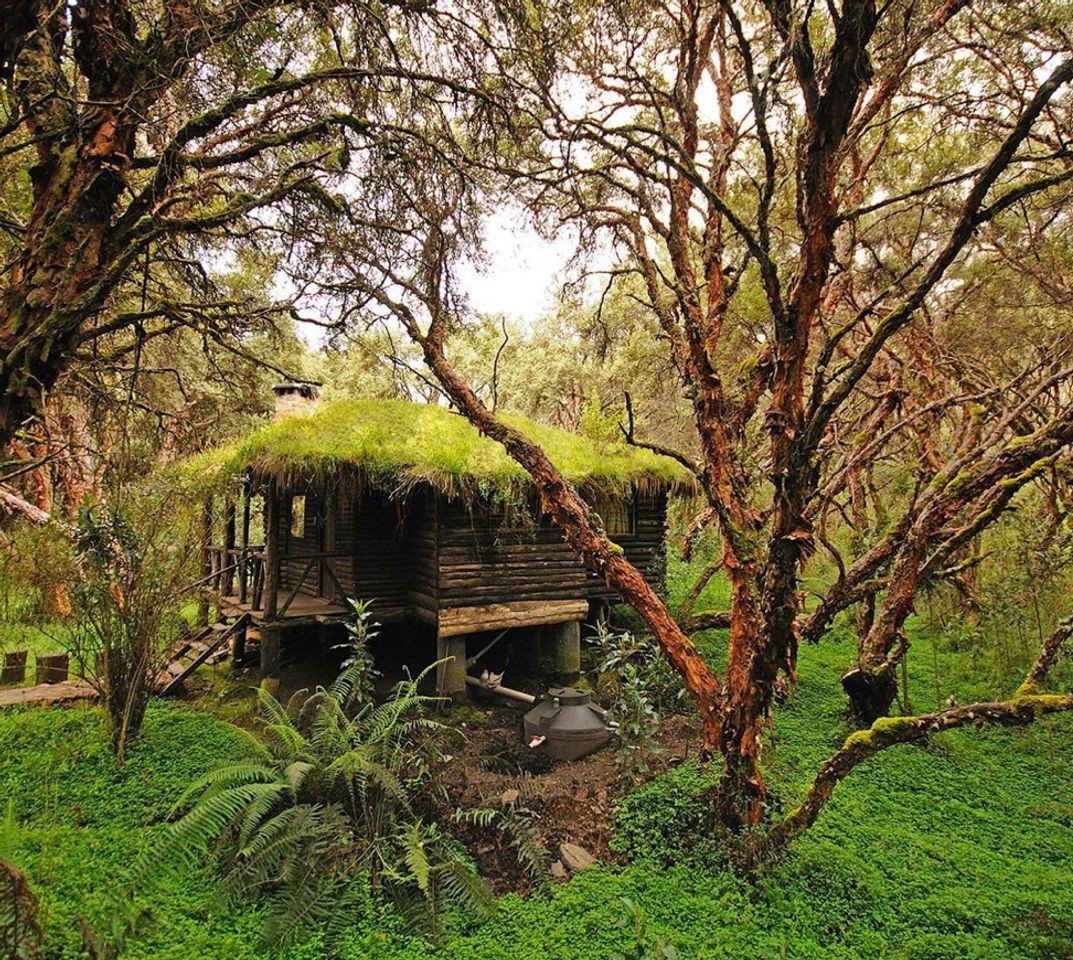 Lugar Polylepis Lodge