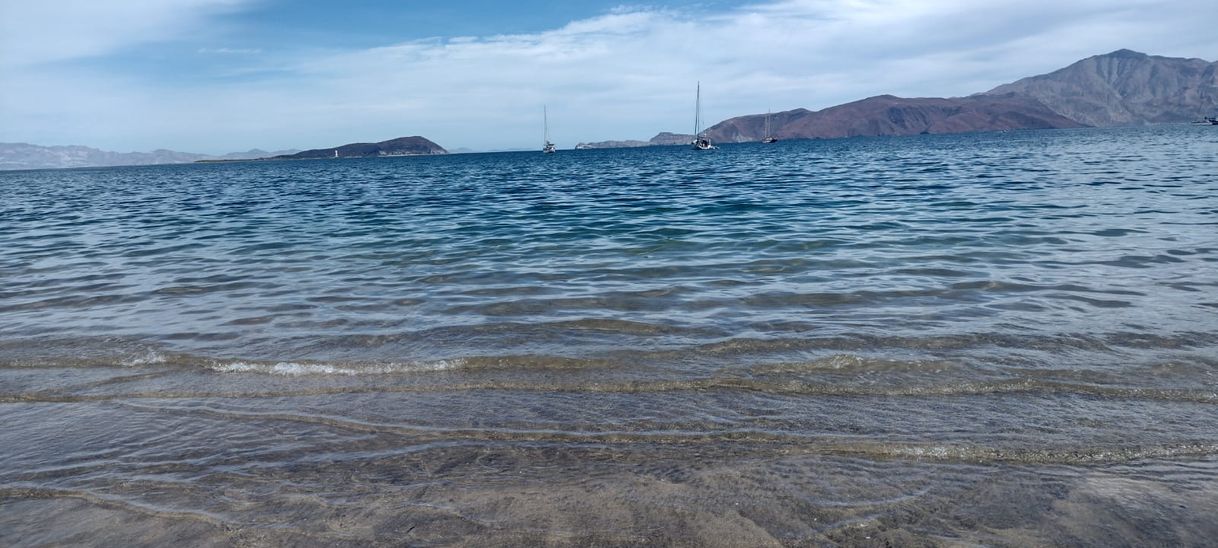 Place Bahía de los Ángeles