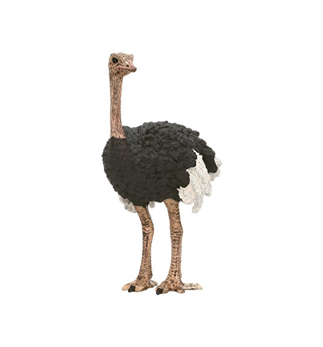 Product Schleich - Figura Avestruz