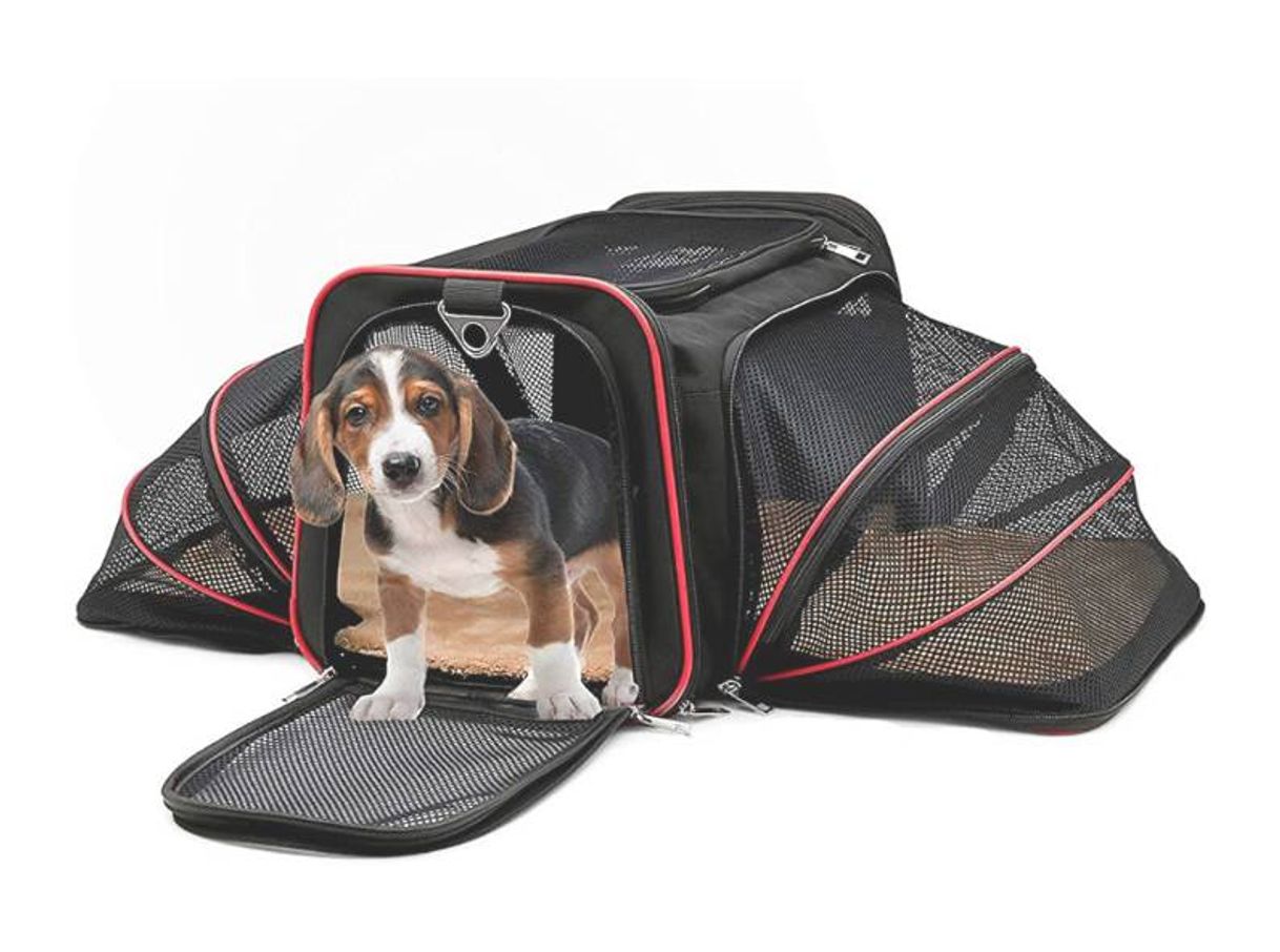 Moda Bolsa transporte para pet