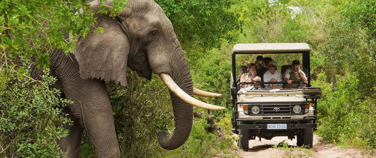 Place Parque nacional Kruger