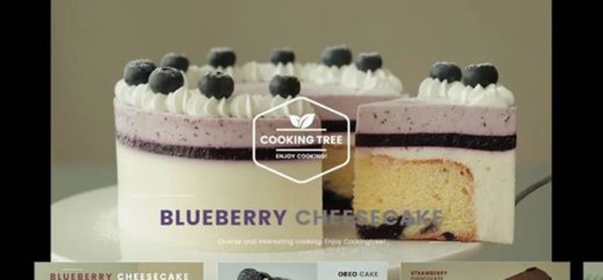 Moda  Blueberry Cheesecake Recipe- The cooking tree