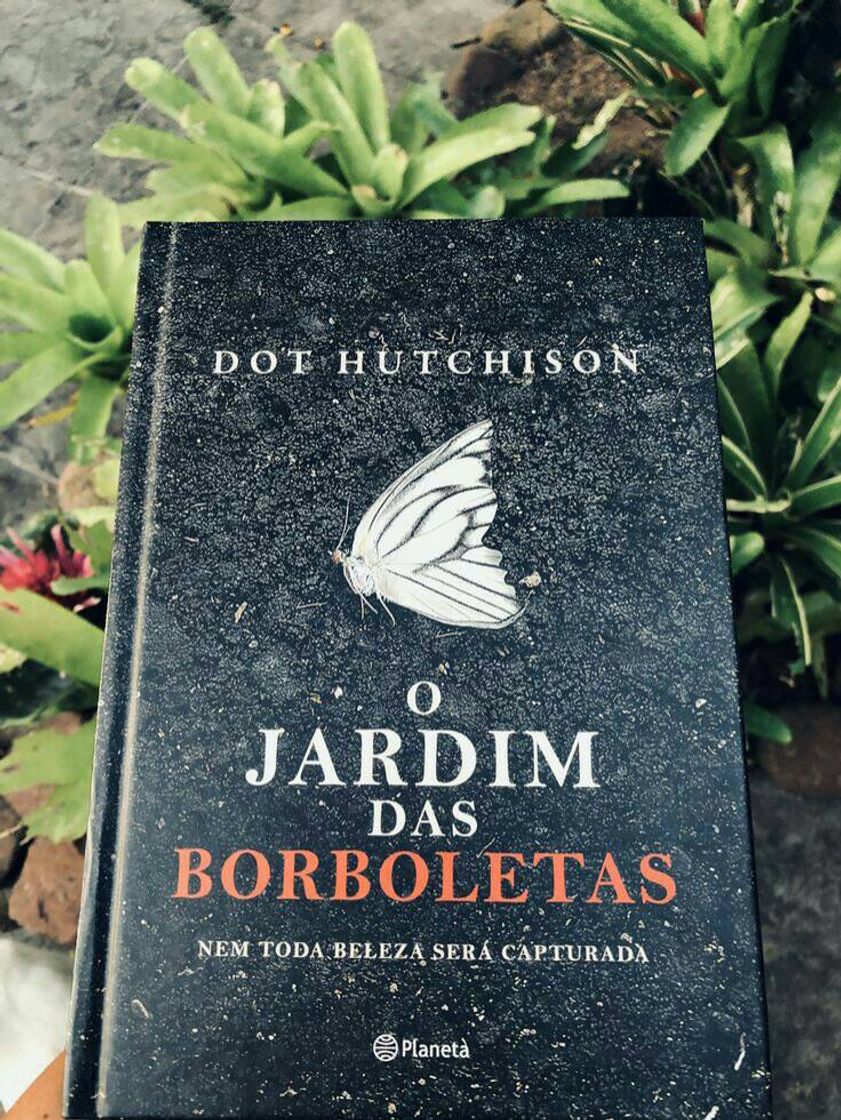 Moda O jardim das borboletas 