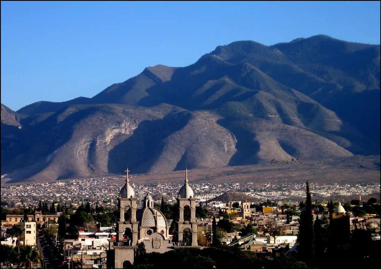 Lugar Saltillo