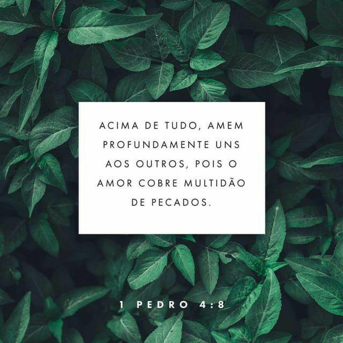 Moda 1 Pedro 4:8