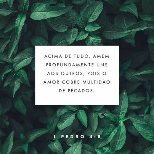 1 Pedro 4:8