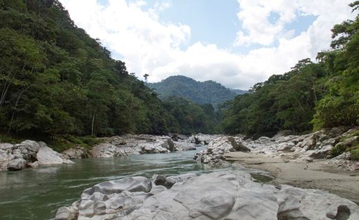 Rio Jatunyacu