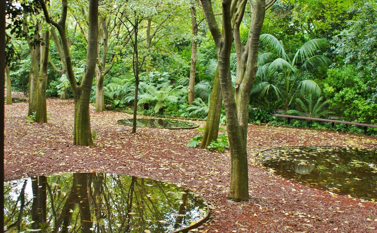 Lugar Parque Gulbenkian