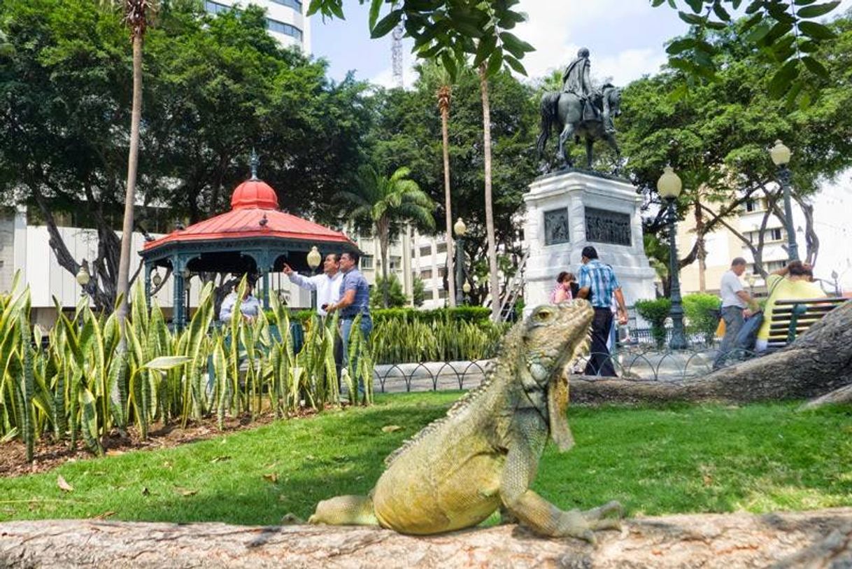 Lugar Parque de las Iguanas