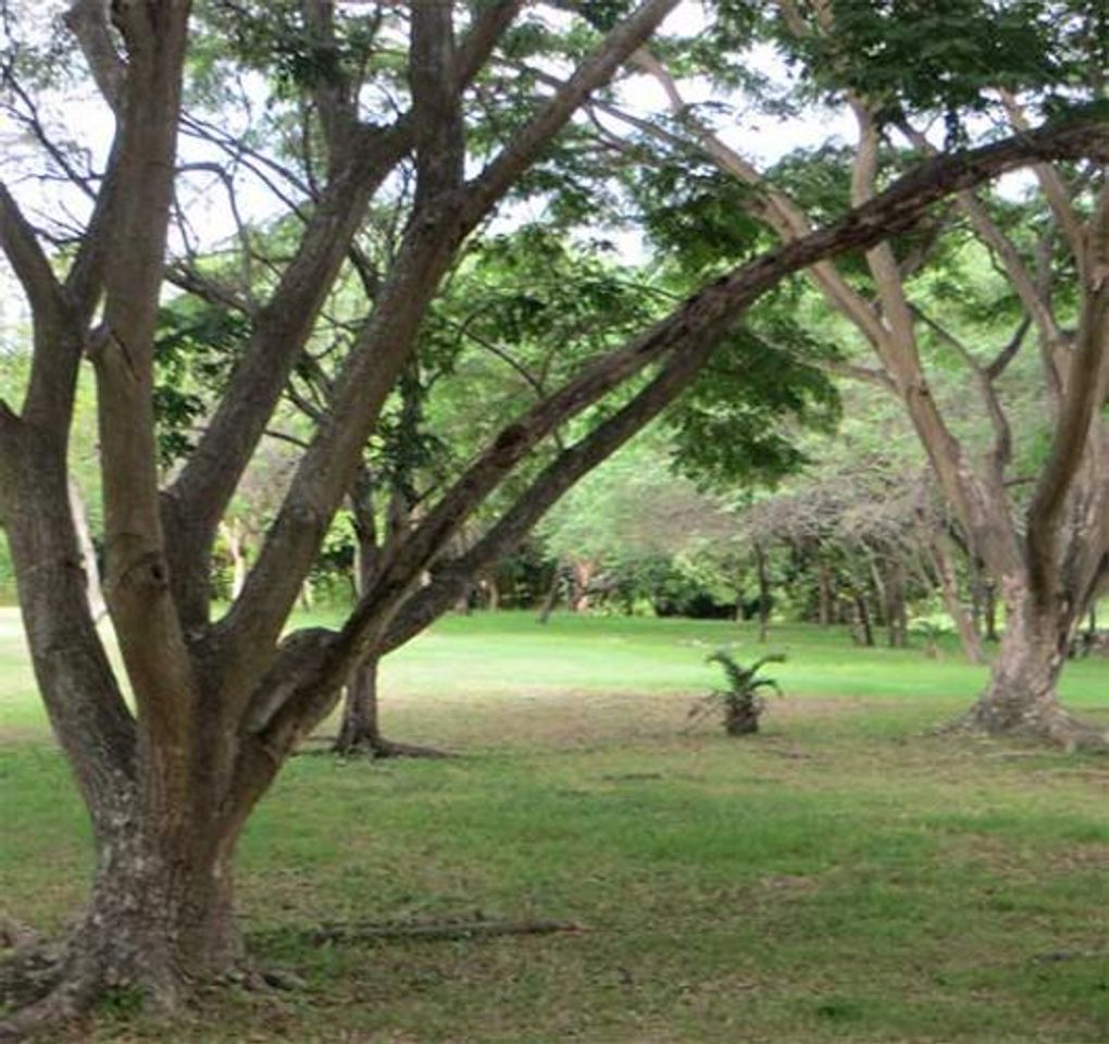 Place Parque Lago