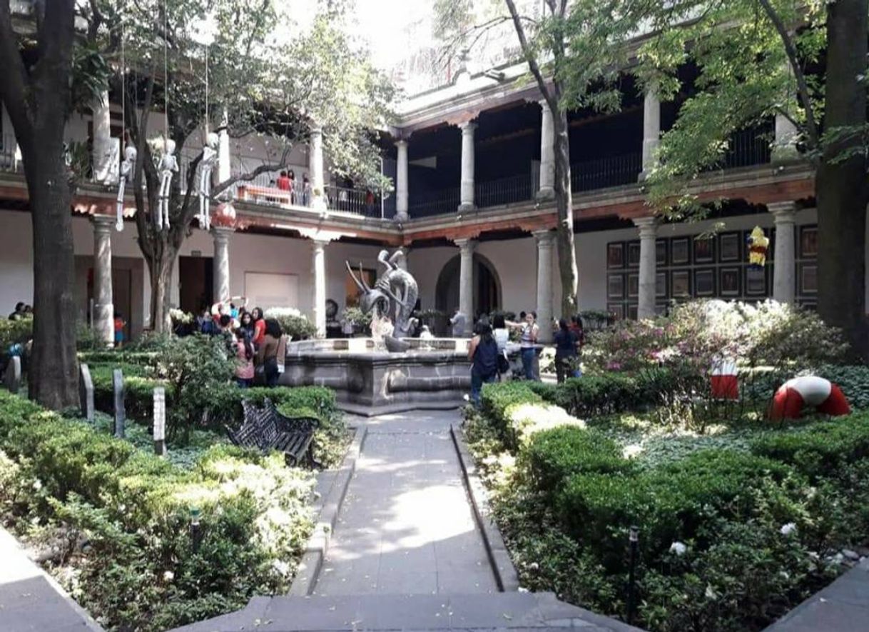 Place Museo Franz Mayer