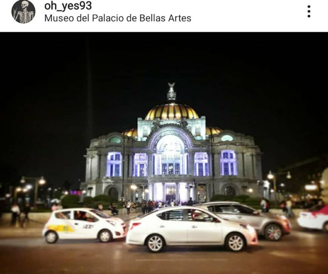 Place Palacio de Bellas Artes