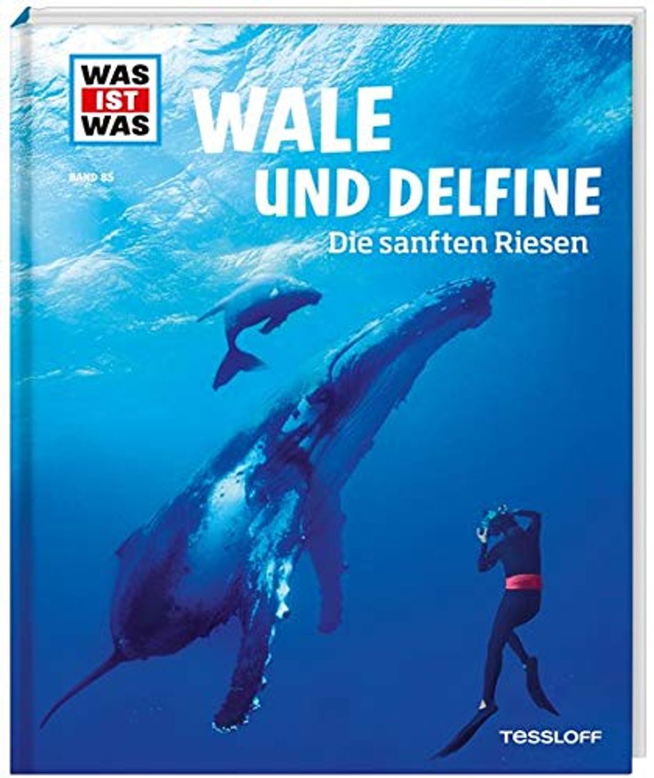 Book Wale und Delfine