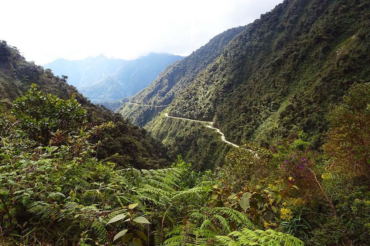 Lugar North Yungas Road