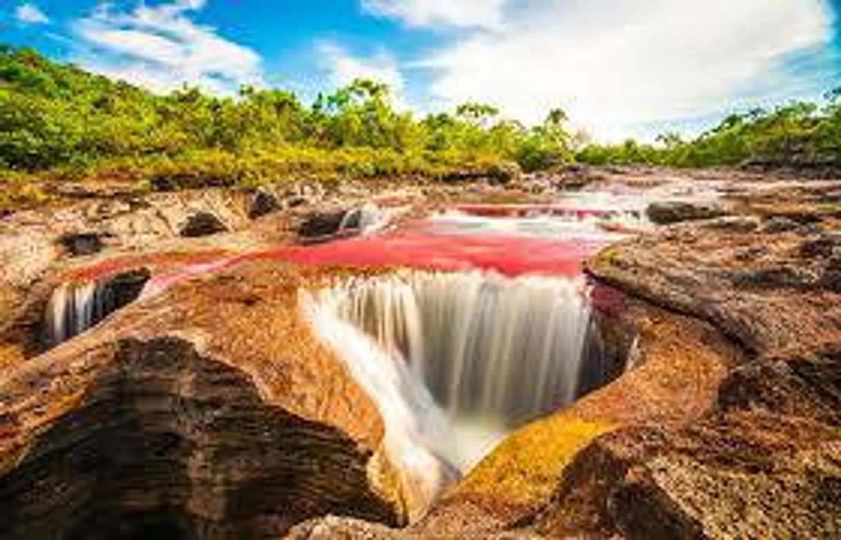 Place Caño Cristales